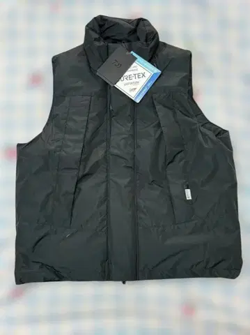 DAIWA PIER39 GORE-TEX INFINIUM 블랙 다운 베스트