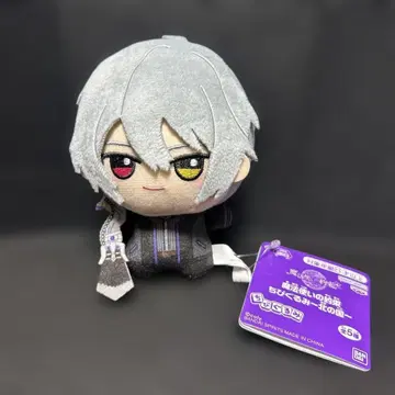 새상품 택 포함 마법사의 약속 SD 인형 ~북의 나라~ 오웬