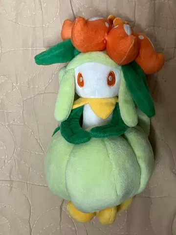 포켓몬 디어 올스타 컬렉션 봉제 인형