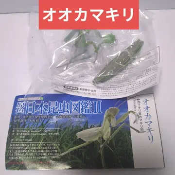 유진 원색 일본 곤충 도감 II 오오사마귀 미개봉