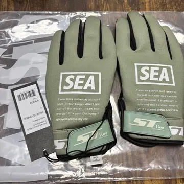 Ashram Glove x WDS 그로브