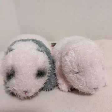 우에노 동물원 레이레이 봉제 인형 샤오샤오