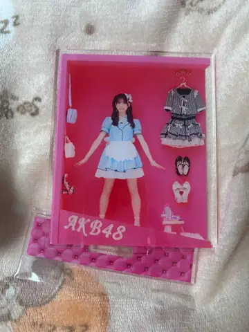 AKB48 미즈시마 미유 인형 박스 아크릴 스탠드