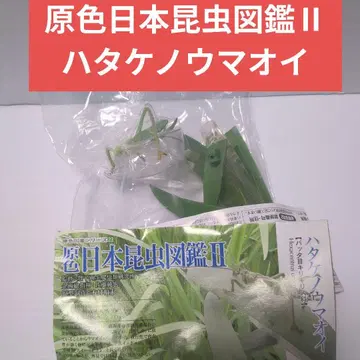 유진 원색 일본 곤충 도감 II 밭메뚜기 미개봉