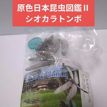 유진 원색 일본 곤충 도감 II 시오카라 잠자리 미개봉