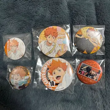 히나타 쇼요 캔뱃지 6개 세트