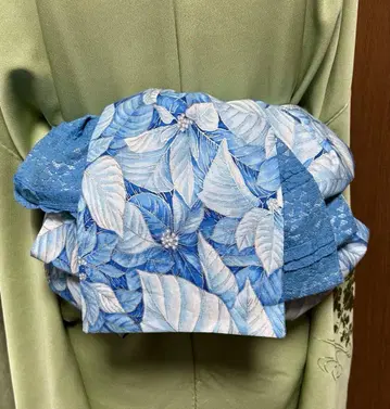 성인용 헤코비, 블루 포인세티아 패턴, 리버서블 긴 기장