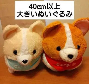 16일까지 가격 인하! 하나! 둘! 코기 지금 바로 BIG 봉제 인형