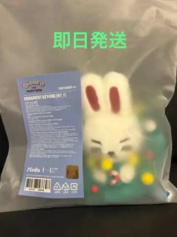 MINITEEN 홀리데이 에디션 오너먼트 키링 체리 체리
