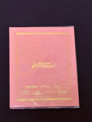 뱅드림! 걸즈 밴드 파티! 브로마이드 케이스