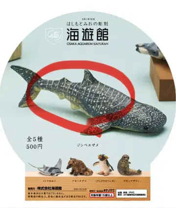 카이유칸 하시모토 미오 가챠가챠 징베상어