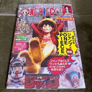 ONE PIECE magazine