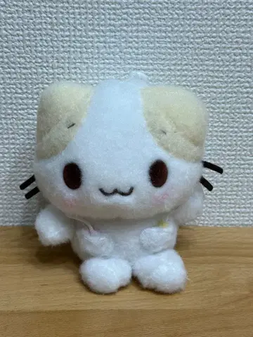 산리오 마스코트 마쉬멜로우 같은 폭신폭신 냥코 한국 한정판