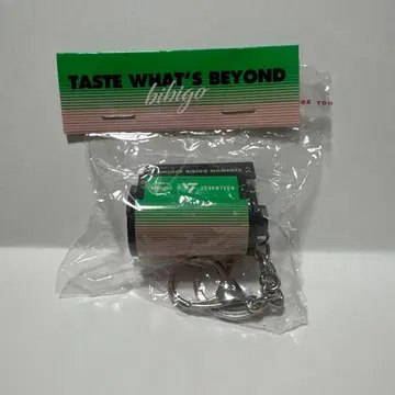 SEVENTEEN 필름 키링 bibigo