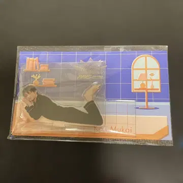 무카이 코지 아크릴 스탠드 Rays Snow Man