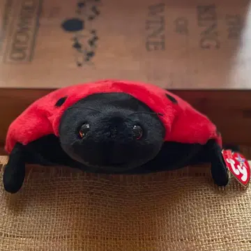 [ 구하기 어려움 ] ty 비니 베이비즈 무당벌레 봉제 인형 버디즈