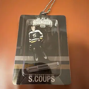 세븐틴 홈 아크릴 키링 에스쿱스