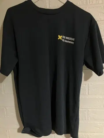 게이오기주쿠대학 레슬링부 T셔츠 L 사이즈