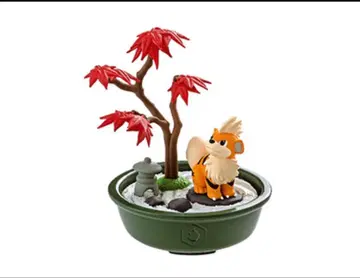 포켓몬스터 bonsai2 가디