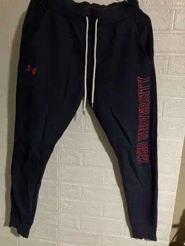 게이오기주쿠대학 체육회 기념 맨투맨