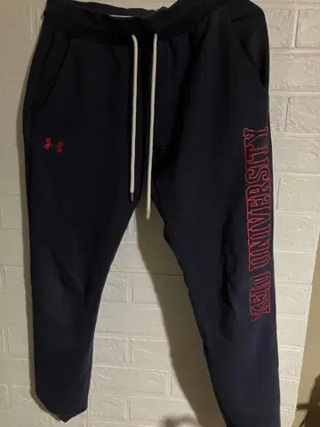 게이오기주쿠대학 체육회 기념 맨투맨