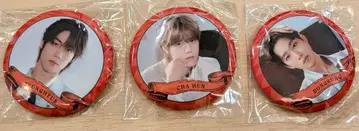 FNCKINGDOM2025 N.Flying 캔 배지 세트