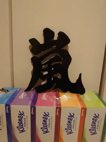 아라시 ARASHI 플레이트