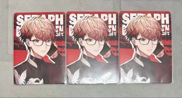 볼타카레 세라프 다즐 가든