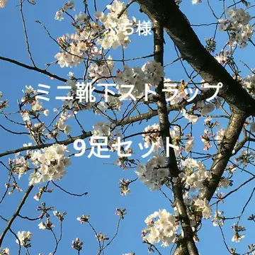 부치님 미니 양말 스트랩 9켤레 세트