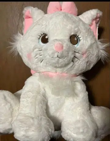 마리 코스트코 담요 있음