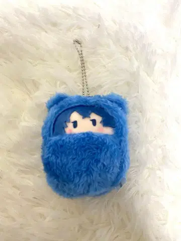 카라피치 나오키리 타피누이 쿠루타피누이 컬러풀 피치