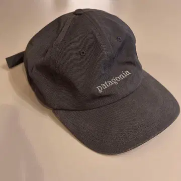 Patagonia 피츠로이 아이콘 트레디셔널 캡