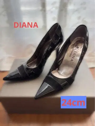 DIANA 블랙 스틸레토 하이힐 24cm