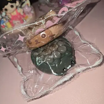 momo 쿠이 2개 세트