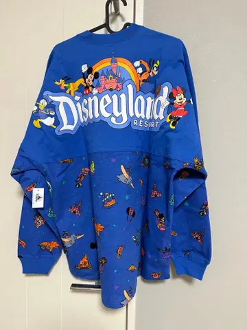 캘리포니아 디즈니 스피릿 저지