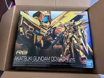 RG AKATSUKI GUNDAM OOWASH unit