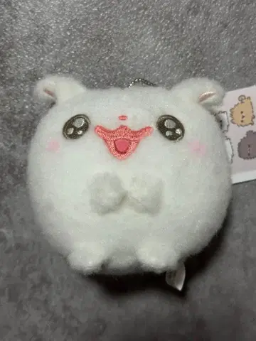 모찌 반짝반짝 눈망울 봉제 인형 마스코트 포메라니안 모찌