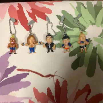 격투가 피규어 5개 세트 볼체인 포함