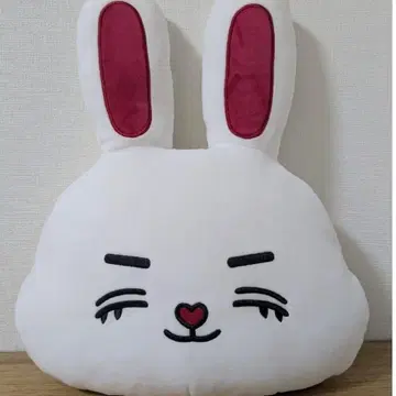 세븐틴 미니틴 에스크 페이스 쿠션