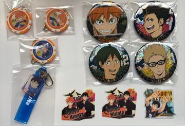 하이큐!! 하이큐 카라스노 고교 캔뱃지 카드 세트 키링