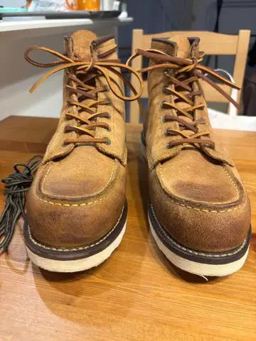 새상품급 레드윙 아이리쉬 세터 모크토 8861 US10