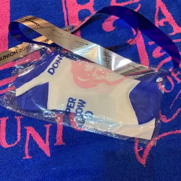 SUPERJUNIOR 동해 가챠 (양말)