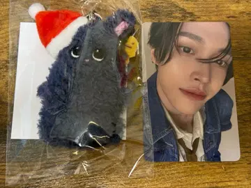 RIIZE 토냥덕 원빈 109 팝업 손가락 인형 구매 혜택 트레이딩 카드