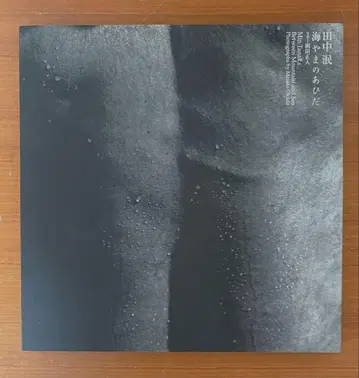 다나카 민 바다의 사이