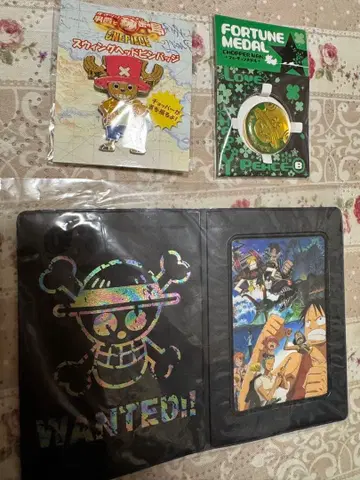 원피스 트레이딩 카드 배지, 패스 케이스 등
