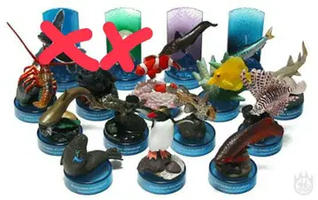 신 에노시마 수족관으로의 초대 14종 세트