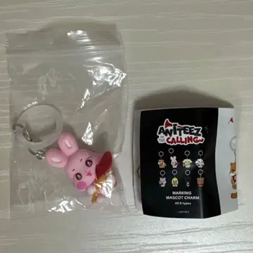 aniteez 가챠가챠 마킹 마스코트 참 톤비요리 손화