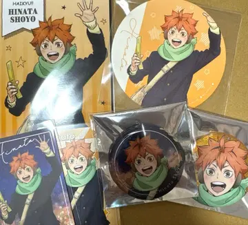 하이큐 히나타 쇼요