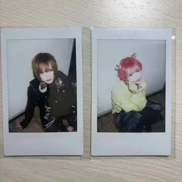 달콤한 폭력 케이 분 폴라로이드