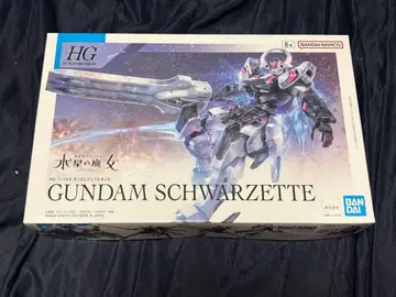 HG 1/144 건담 슈바르제테